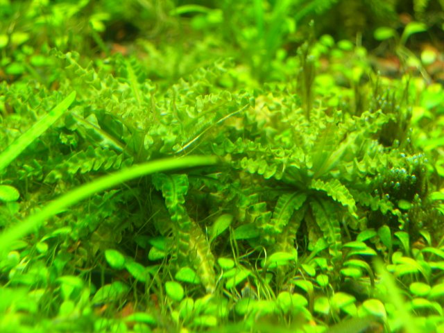DSCN4557.JPG