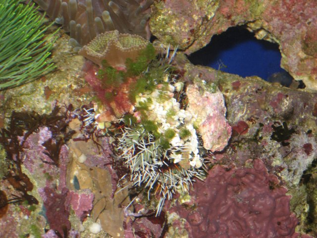 IMG_0078.JPG