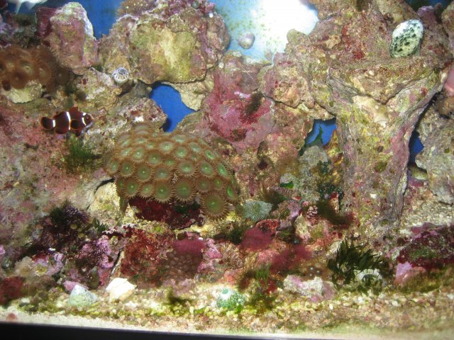 IMG_0084.JPG IMG_0084.JPG