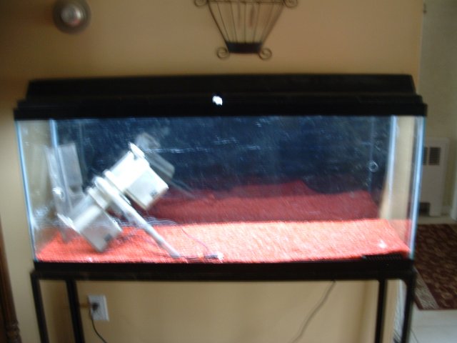 fish pics 005.jpg