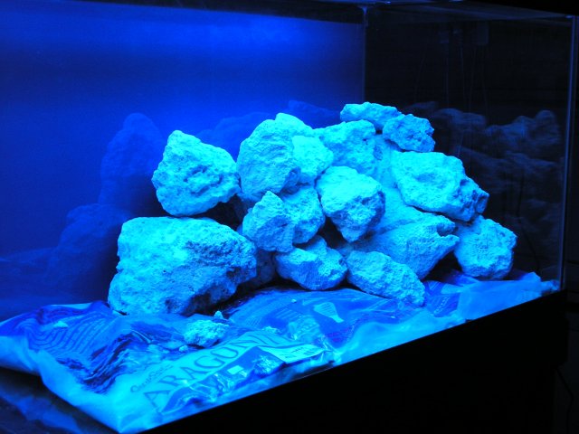 P1010104.JPG