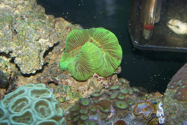 100_0530.jpg
