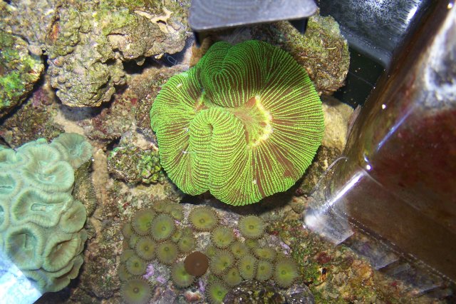 100_0540.jpg