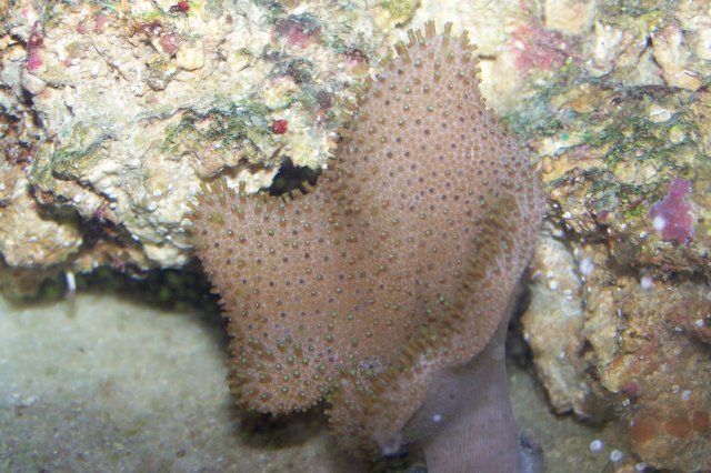100_0547.jpg