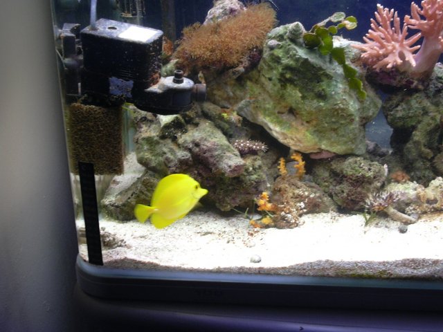 tank April 022.jpg