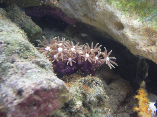 tank April 004.jpg