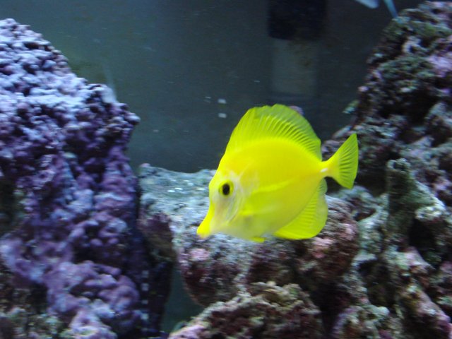 DSC00260.JPG