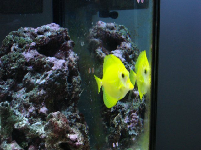DSC00258.JPG