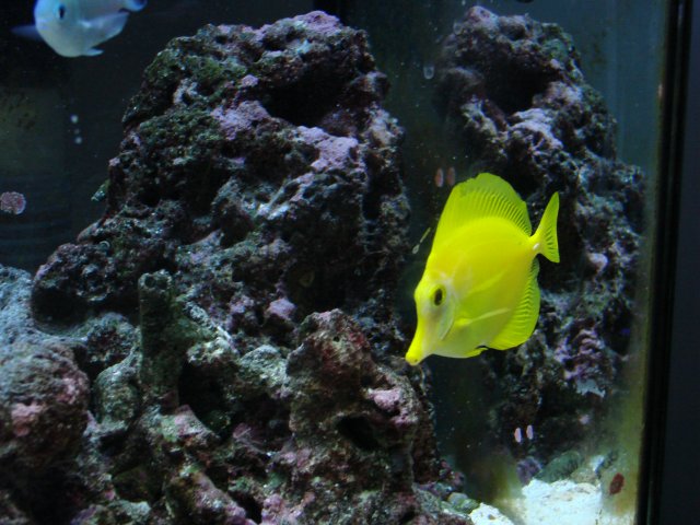 DSC00259.JPG