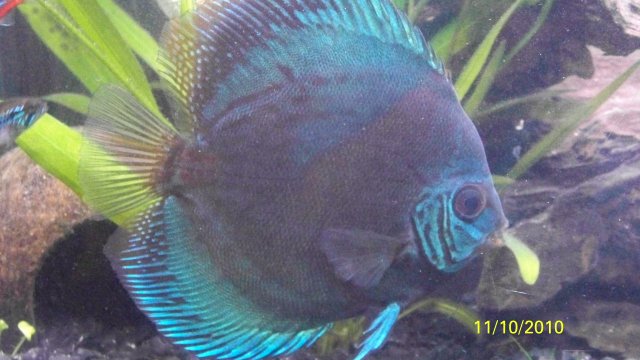 100_2645.jpg