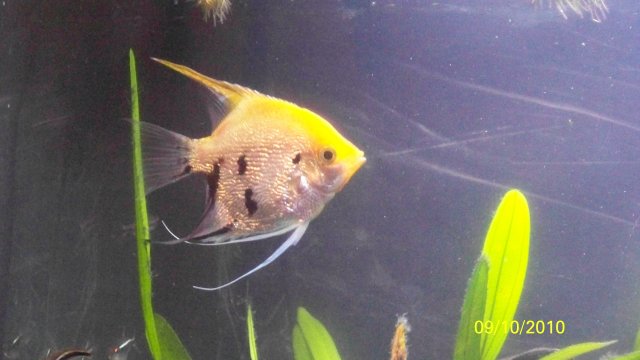 100_2618.jpg