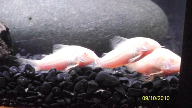 100_2621.jpg