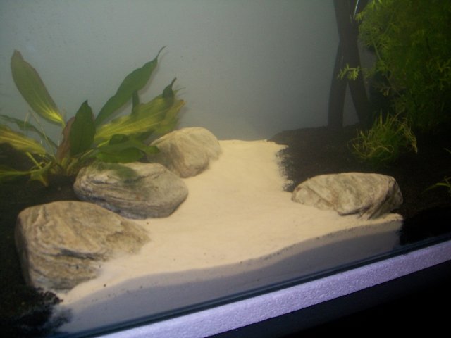 Keeping 2 Substrates Separate Aquariacentral Com,Whats The Best Gin