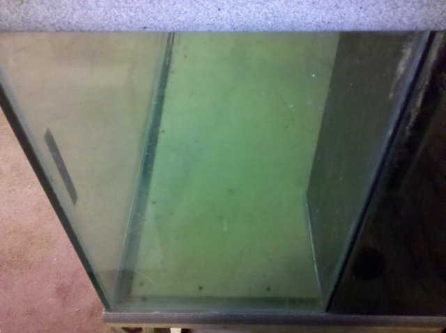 tank stand side.jpg tank stand side.jpg