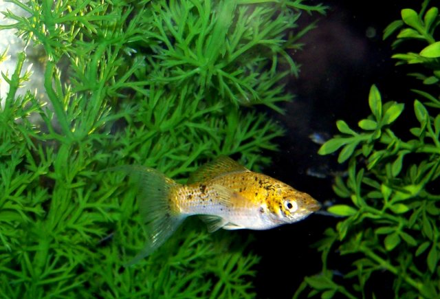100_2566.JPG