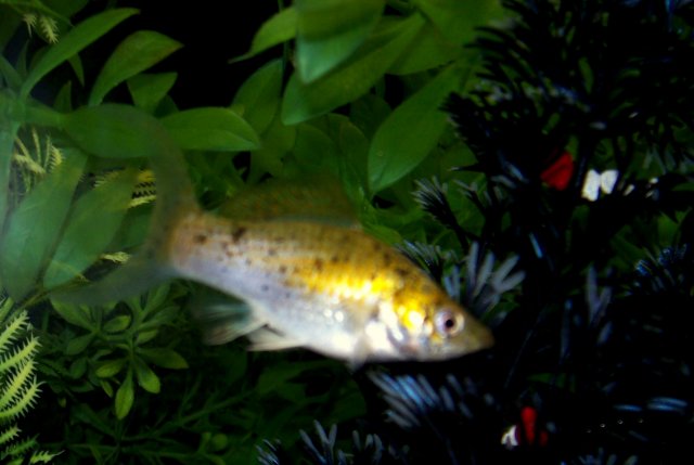 100_2595.JPG