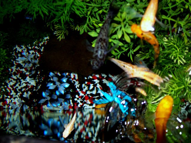 100_2635.JPG