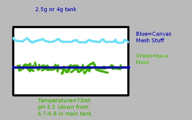 breeder.jpg breeder.jpg