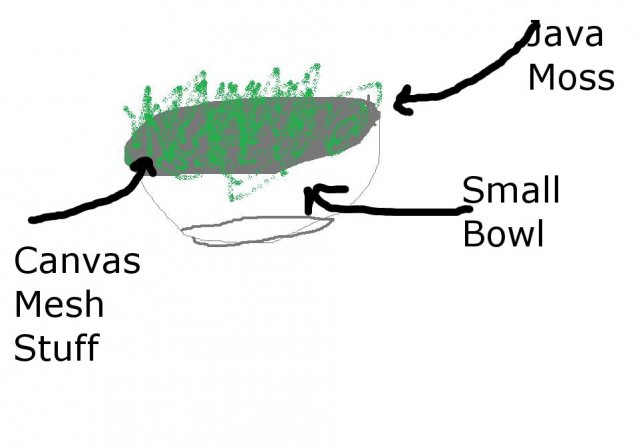 eggcatcher.jpg eggcatcher.jpg