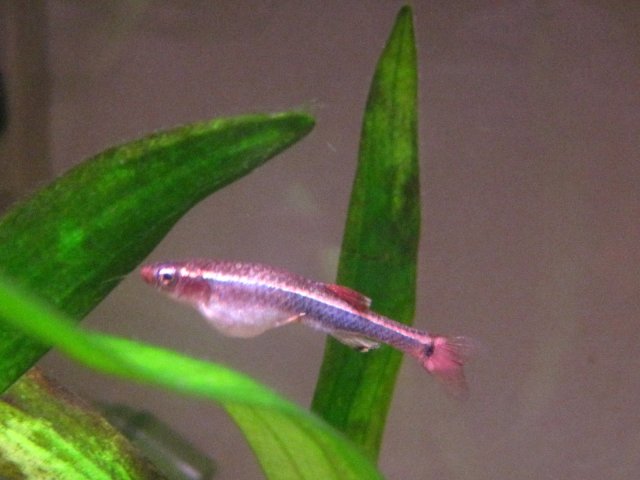 IMG_5851.JPG IMG_5851.JPG