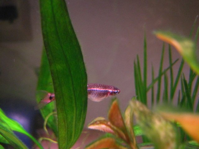 IMG_5855.JPG IMG_5855.JPG