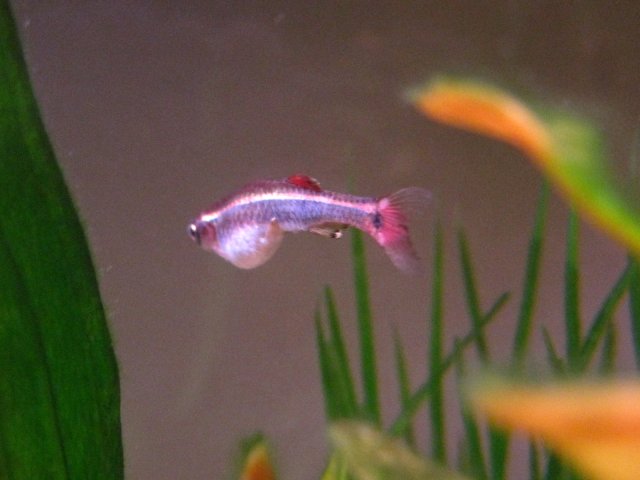 IMG_5857.JPG IMG_5857.JPG