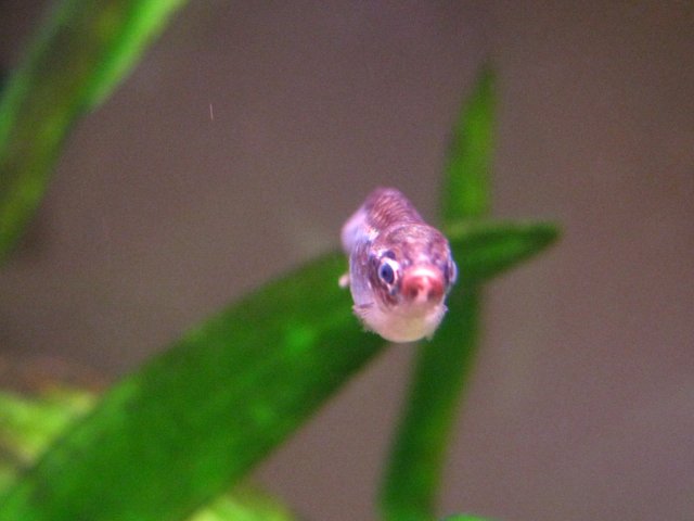 IMG_5861.JPG IMG_5861.JPG