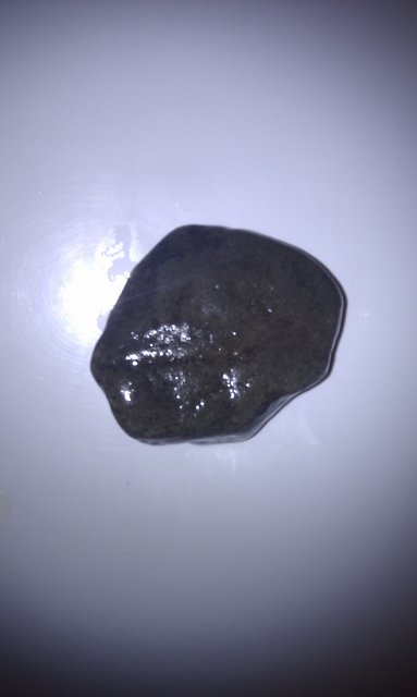 IMAG0208.jpg IMAG0208.jpg