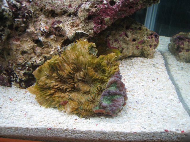 IMG_2959.JPG