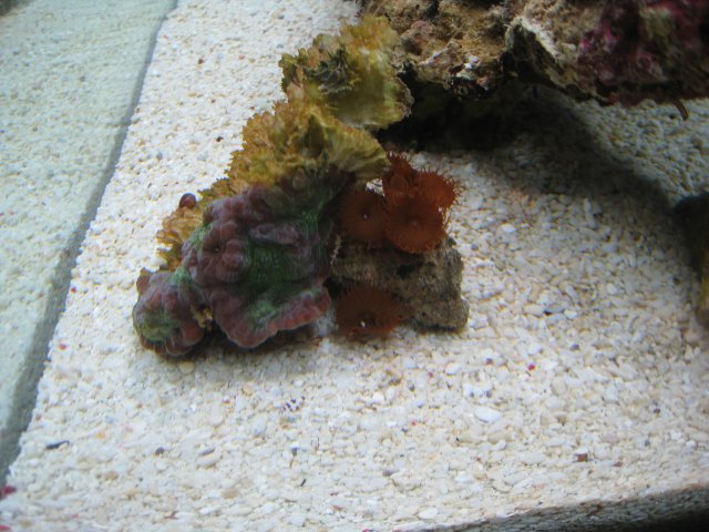 IMG_2961.JPG