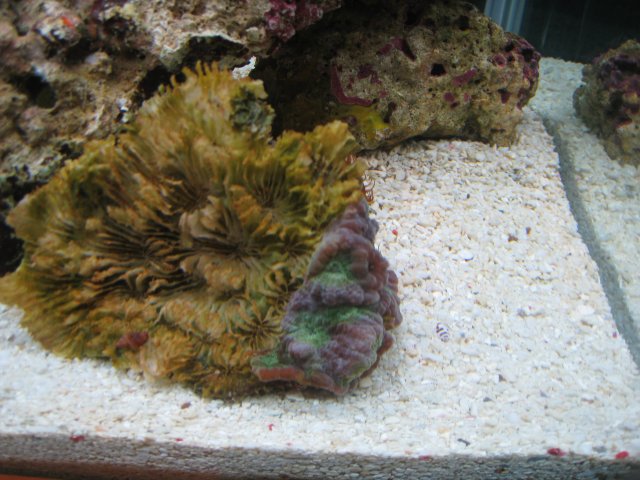 IMG_2963.JPG