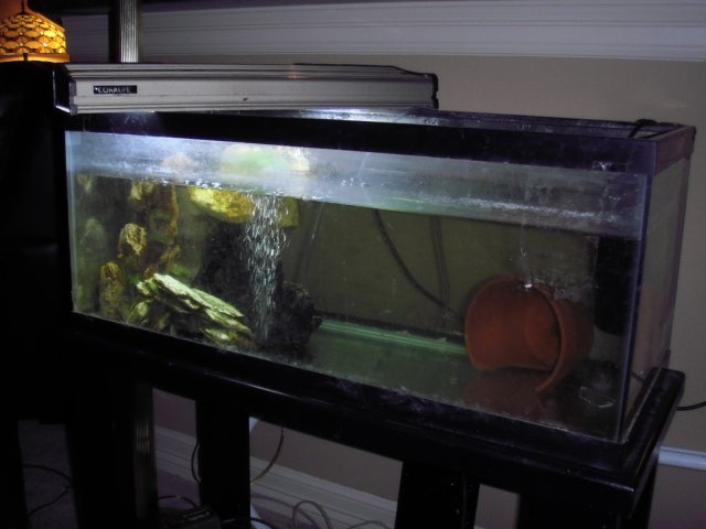 PC020249.JPG PC020249.JPG