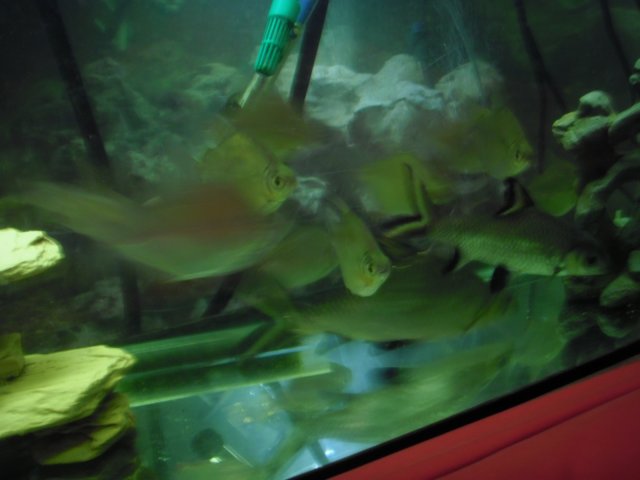PC020254.JPG PC020254.JPG
