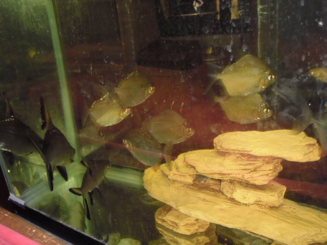 PC020259.JPG PC020259.JPG