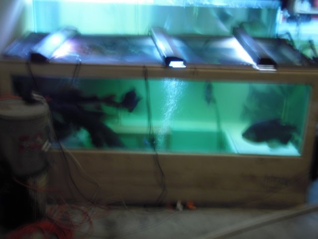 PC020293.JPG PC020293.JPG