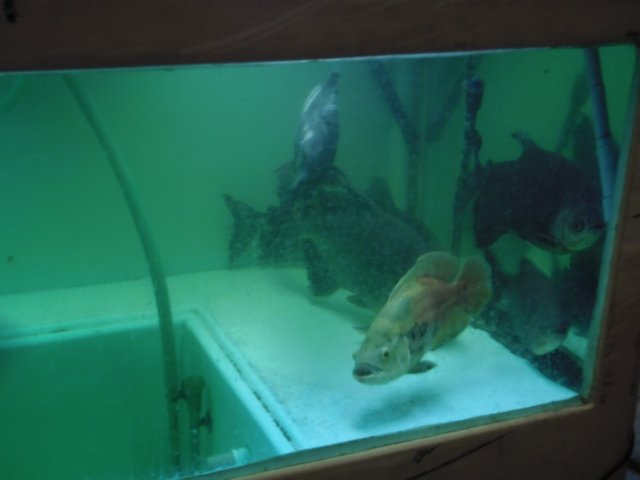 PC020297.JPG PC020297.JPG