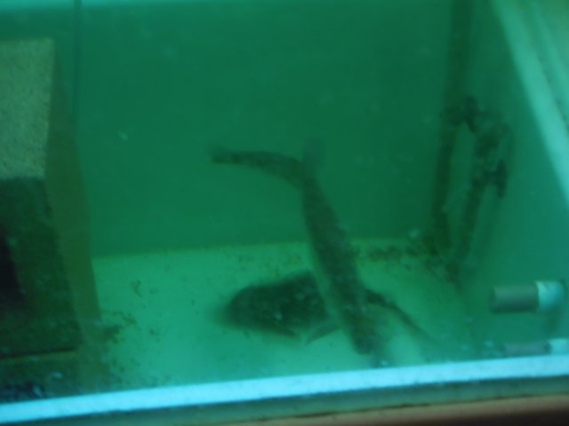 PC020298.JPG PC020298.JPG