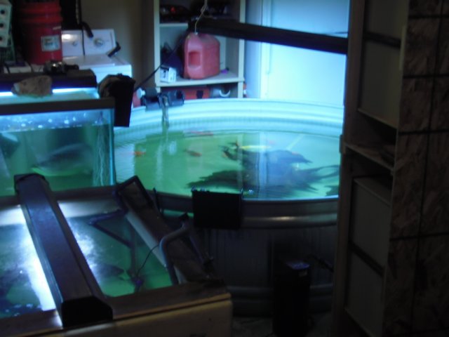 PC020313.JPG PC020313.JPG