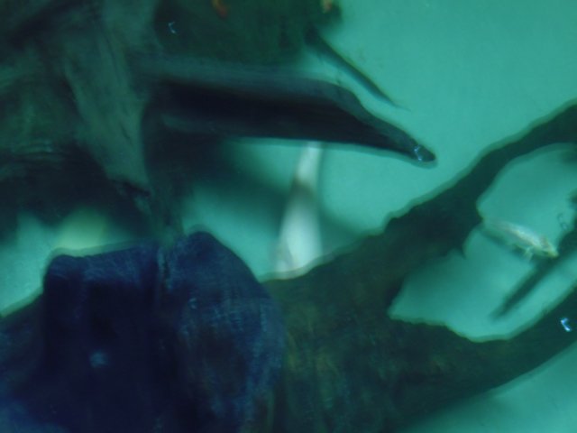 PC020318.JPG PC020318.JPG