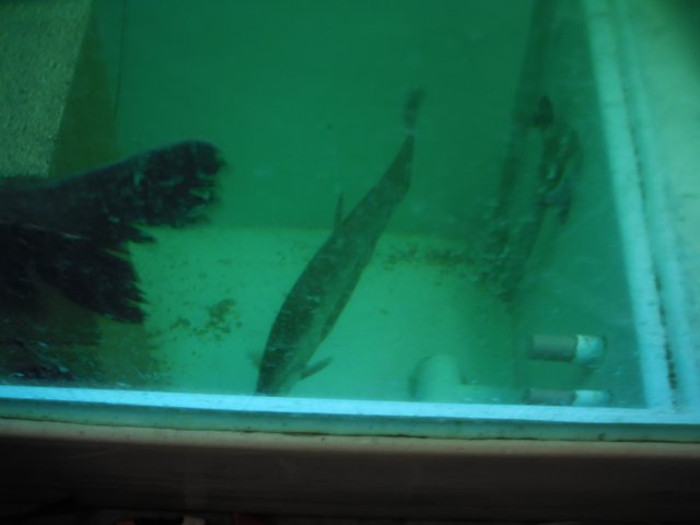 PC020324.JPG PC020324.JPG