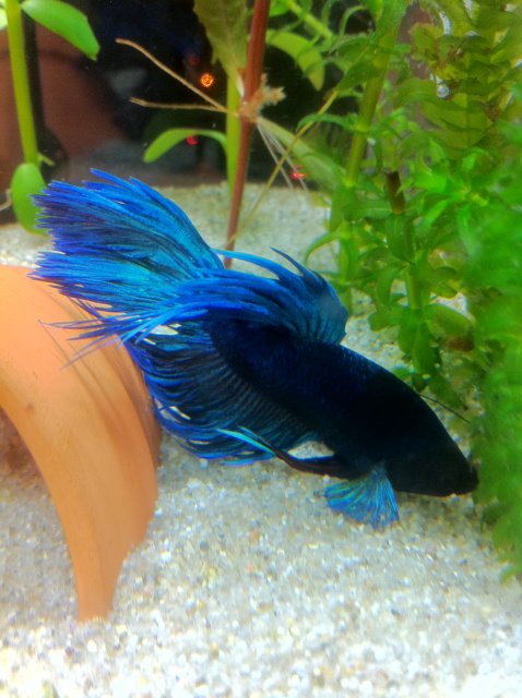 IMG_1281.JPG IMG_1281.JPG