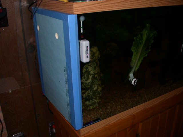 DSCN0438.JPG DSCN0438.JPG