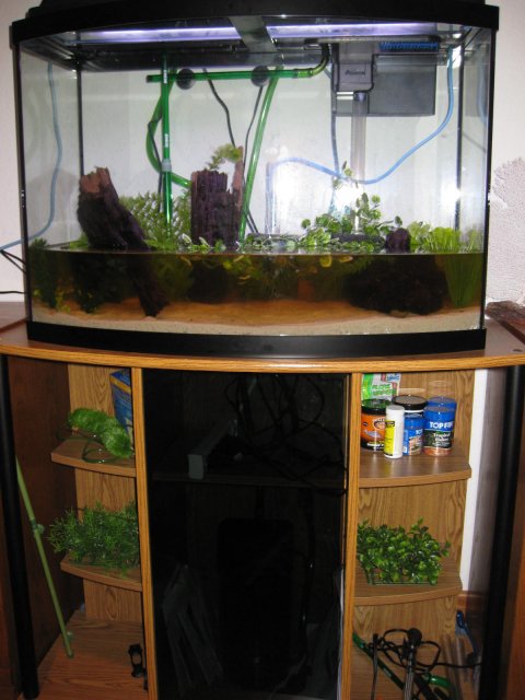 Picture 010.jpg