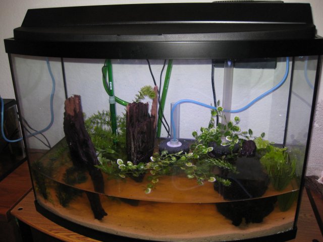 Picture 007.jpg