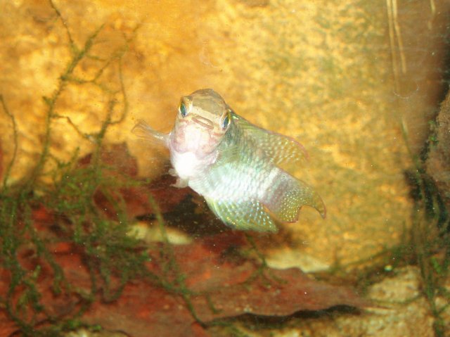 01.JPG