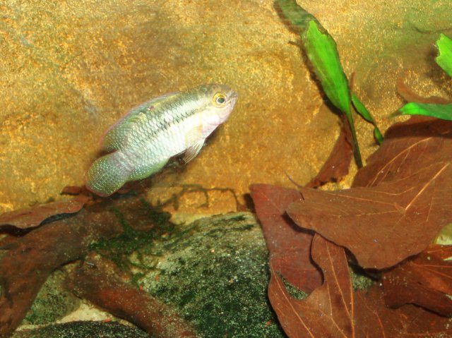 05.JPG