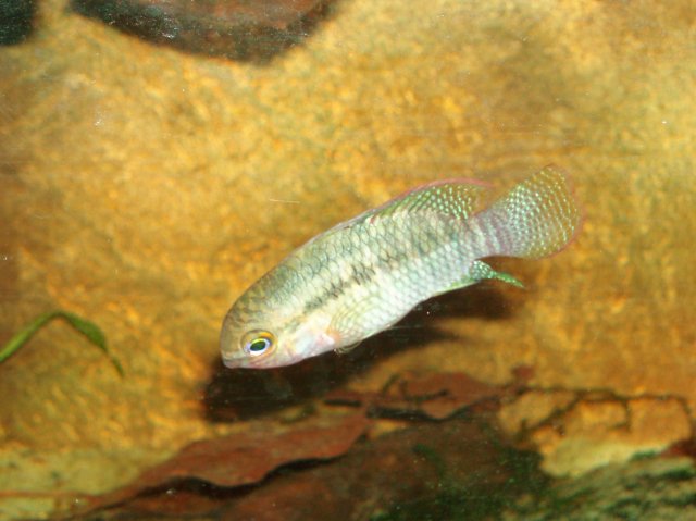06.JPG