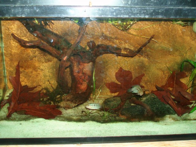 09.JPG