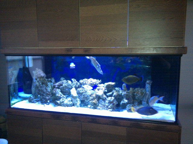 IMG_20101211_085948.jpg