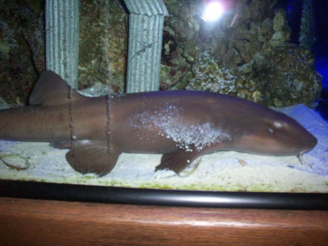 100_0626.JPG